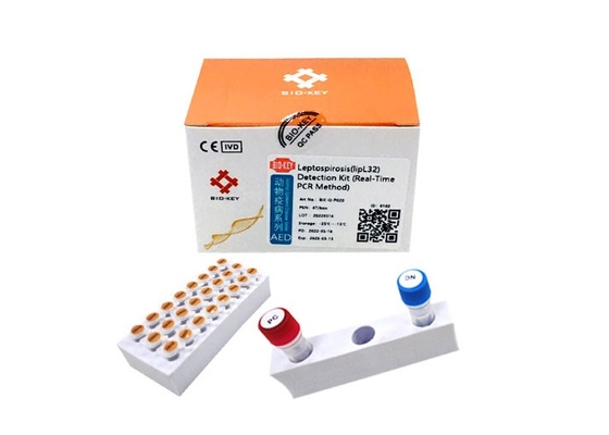 CLep Canine Dog Test Kit Polimeraza DNA Leptospira Test Fluorescencyjny PCR