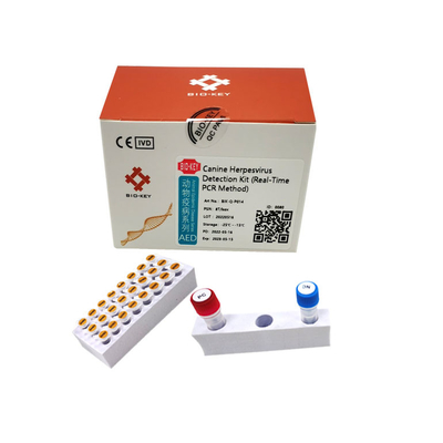 Taq Polymerase Canine Dog Test Kit PCR Test na wirus opryszczki psów Fluorescencja