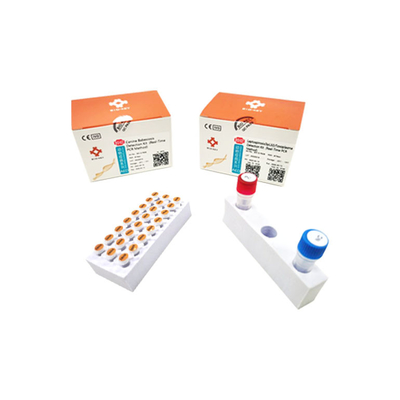 Zestaw do szybkiego testu leptospirozy w czasie rzeczywistym Taqman Probe Toxoplasma Test Kit