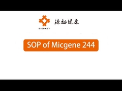 POCT Real Time Quantitative PCR Machine 2 / 4 kanały 24 Urządzenie do molekularnej diagnostyki
