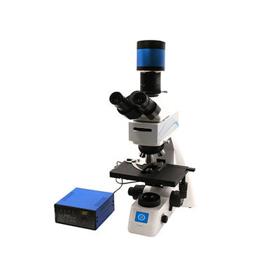 Mikroskop Biologiczny Górny / Mikro Koaksjalny Skupialny B70F