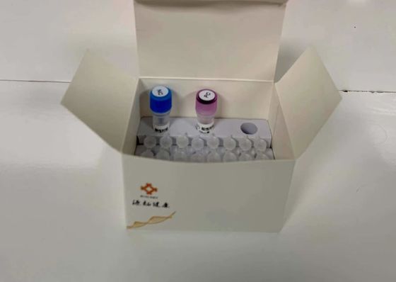 Fluorescencyjna ilościowa zestaw diagnostyczny PCR Molekularne wykrywanie wodnych patogenów 48 testów/zestaw diagnostyczny